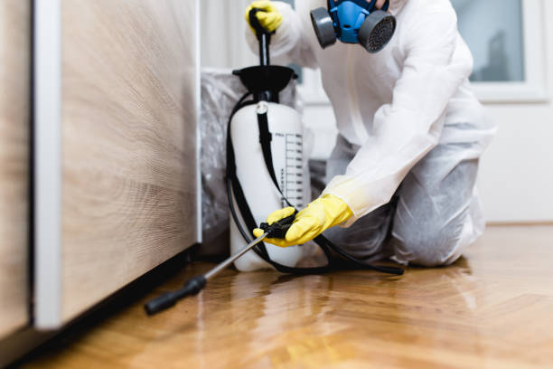 Best Termite Control Services  in Fort Drum, NY