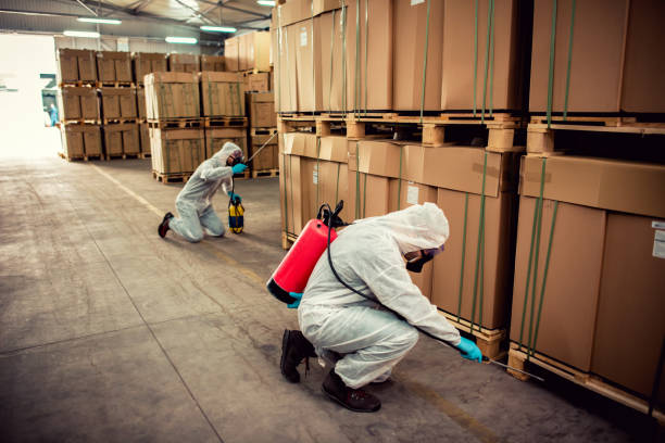 Best Wildlife Control Services  in Fort Drum, NY