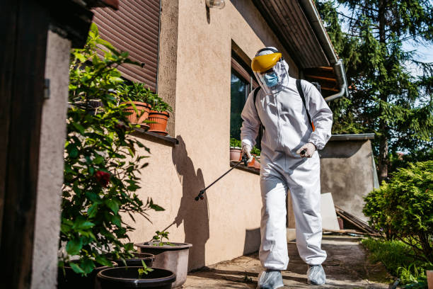 Best Affordable Pest Control Services  in Fort Drum, NY