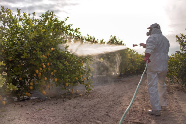 Best Local Pest Control Services  in Fort Drum, NY