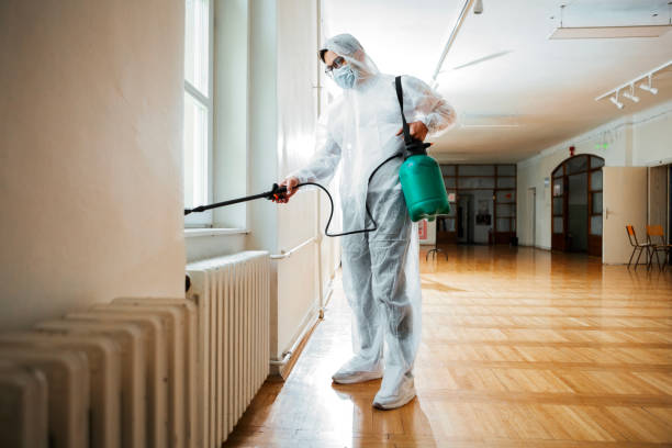 Best Pest Control Treatment  in Fort Drum, NY