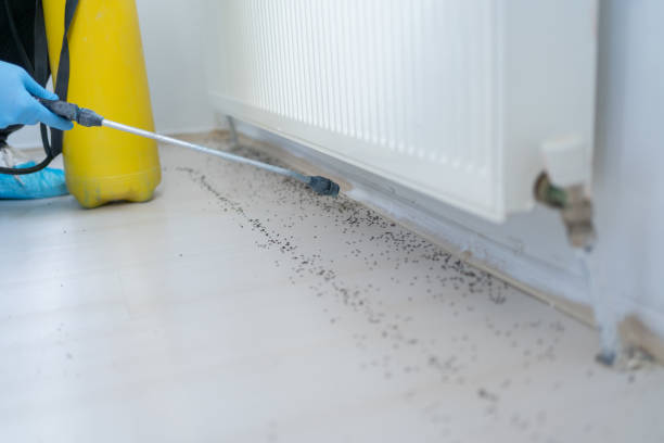 Best Affordable Pest Control Services  in Fort Drum, NY
